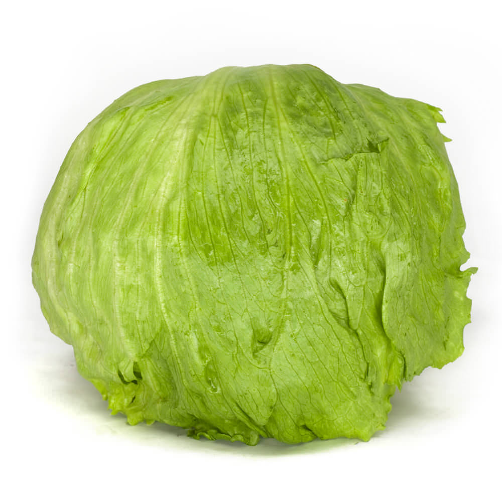 iceberg lettuce