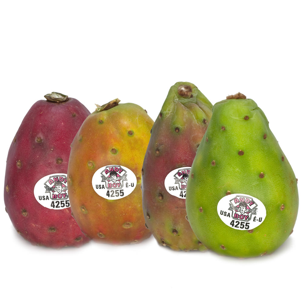 cactus-pear-andy-boy